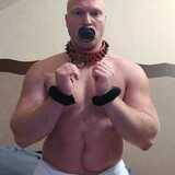 SirWolf