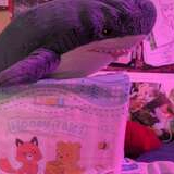 Tarator_Dragon