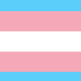Transfrauen unter sich 