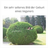 Vegan