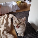 photo thumbnail