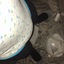 baby94