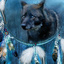 Wolf19