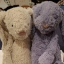 anniundnuffel08