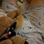 lilpup_max