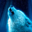 Wolf01