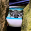 padded_Racoon