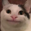 FluffiPanda