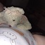 ankaundteddy08