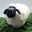 the-sheep