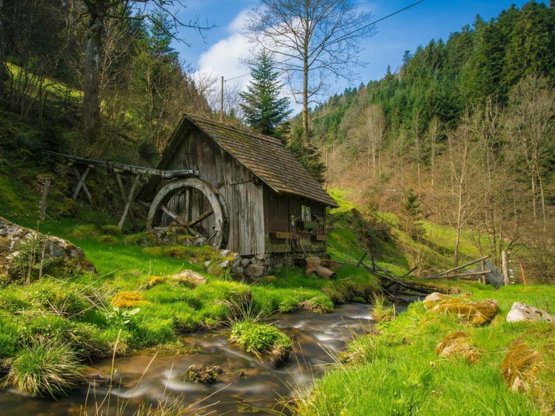 3. Schwarzwälder Stammtisch für Littles und DL