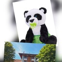 photo thumbnail