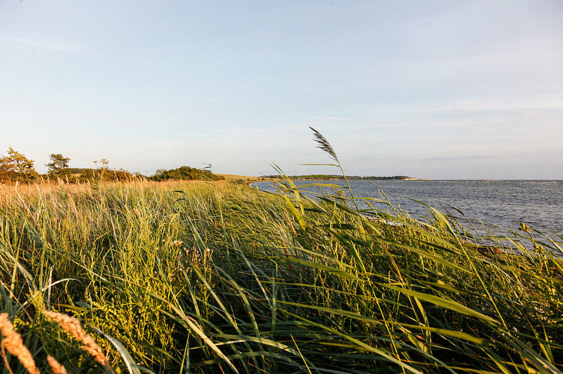 Mecklenburg Vorpommern 