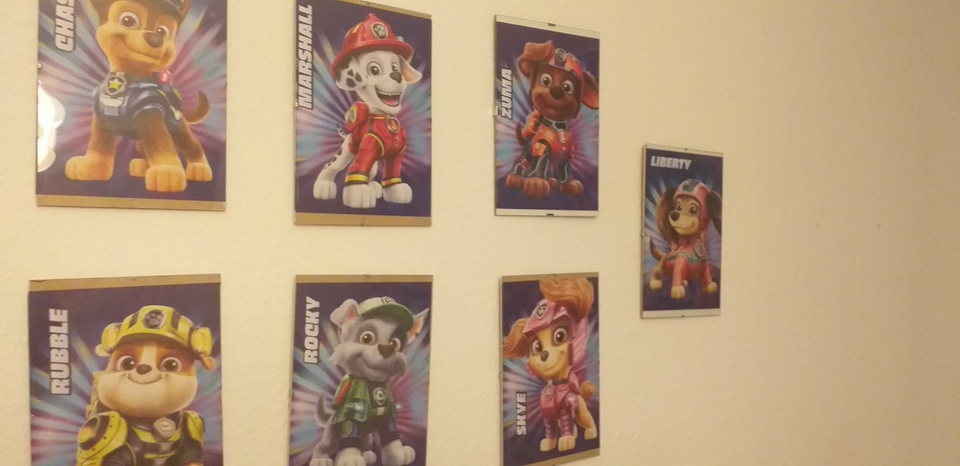 Meine Sammlung