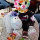 /images/groupphotos/14/590/thumb_4a08632ac4eb768f7c9e74c9.jpg