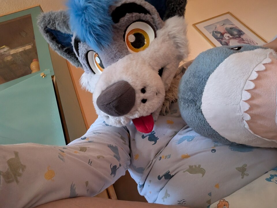 Heyho 👋  - Robin hier, ich bin 25 Jahre alt und komme aus dem Osten Baden-Württembergs, genau zwischen Stuttgart und München. Neben dem Thema ABDL stecke ich unschwer zu erkennen tief im Thema Furry, sonst mag ich auch alles rund um IT, Sauna, Fotografie, Kochen und Reisen. Sehr gerne würde ich mehr Kontakte hier in der Gegend knüpfen :3 - an sich bin ich eher der gemütlichere Typ, liebe tiefe Gespräche, kuschel viel und gerne und bin für jeden Blödsinn zu haben 😋 Meld dich gerne bei mir, meist beiß ich nicht :3