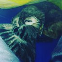 Unter der Decke am kuscheln ?