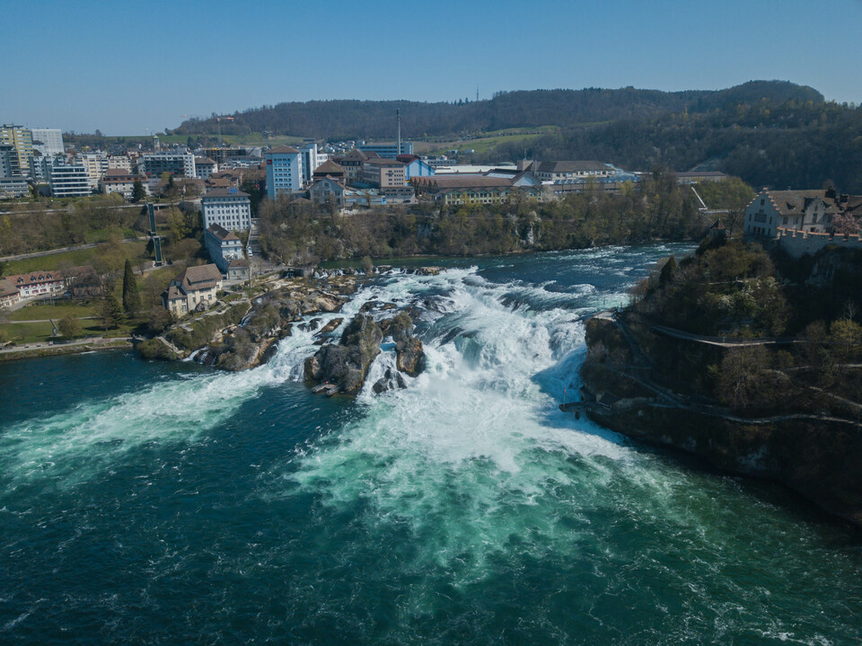 Der Reinfall in der Schweiz