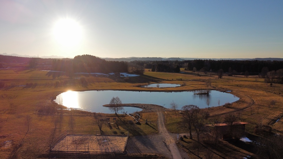 Unser Dorf weiher
