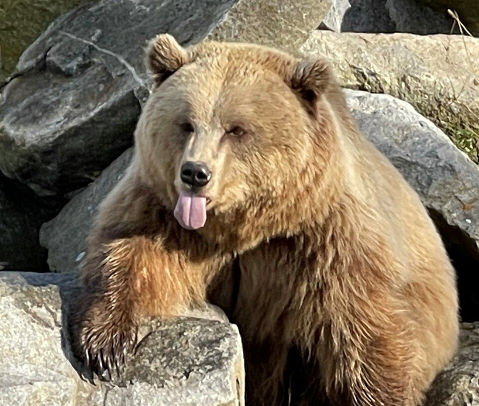 mein bisher bester schnappschuss, die variante ist etwas komprimiert, da ich es gern als profilbild verwende