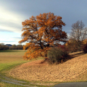 Wenn im November doch noch mal die Sonne sich zeigt