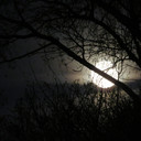 gefangen im Baum ,war echt kalt um 7.35 :-) , schnappschuß vom 09.02.2020