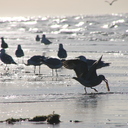 Urlaub GB