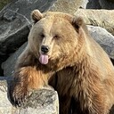 mein bisher bester schnappschuss, die variante ist etwas komprimiert, da ich es gern als profilbild verwende