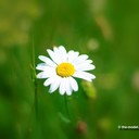 Ganz schlicht, die Natur :)