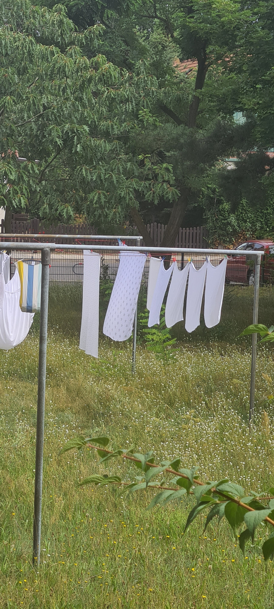 Leider nur wenige Mullwindeln, die meine schönes warmes und gelbes Pipi aufsaugen durften und jetzt wieder schön weiß sind und sich auf den nächsten Einsatz freuen