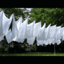 https://diaper.community/images/groupphotos/8/6213/thumb_9f782c7d9883a3daac65c6e4.gif