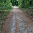 Windelspaziergang