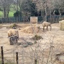 Zoo Dresden (02/2024)