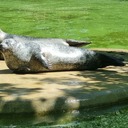 Zoo Berlin 05/2024