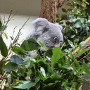 Tiergarten Schönbrunn Wien/Österreich 03/25