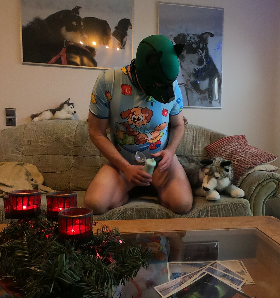 Ich wünsche euch frohe Weihnachten - auch die Haustiere sollen nicht zu kurz kommen ;) 🐾🐾🤗🎄