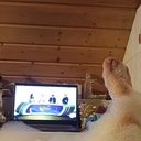Ein schöner Tag erlebt