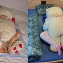 Durch eine Inspiration durch dieses Bild wollte Bettina auch mal so was machen. Da es ein grossen Teddybär hat - klappte es auch. In Bettina's FaceBook ist auch das MakeOf-Video zu sehen.