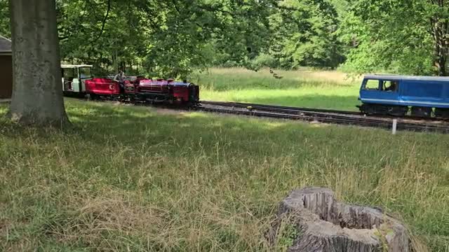 Großes Mininaturtreffen